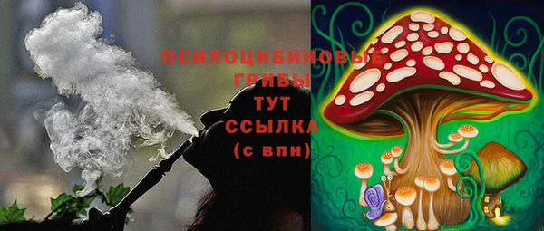 соль курить ск Верея