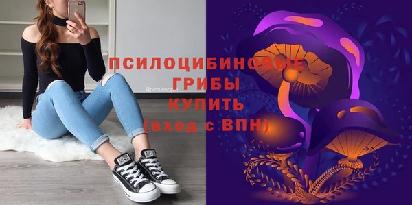 соль курить ск Верея