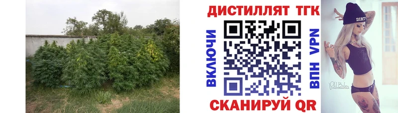 Дистиллят ТГК концентрат  Североморск 